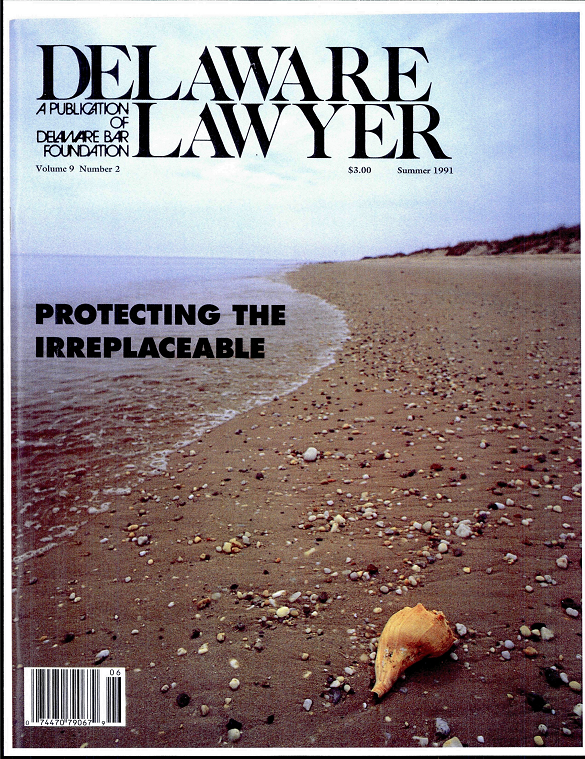 Summer No. 2: Protecting the Irreplaceable - Summer 1991